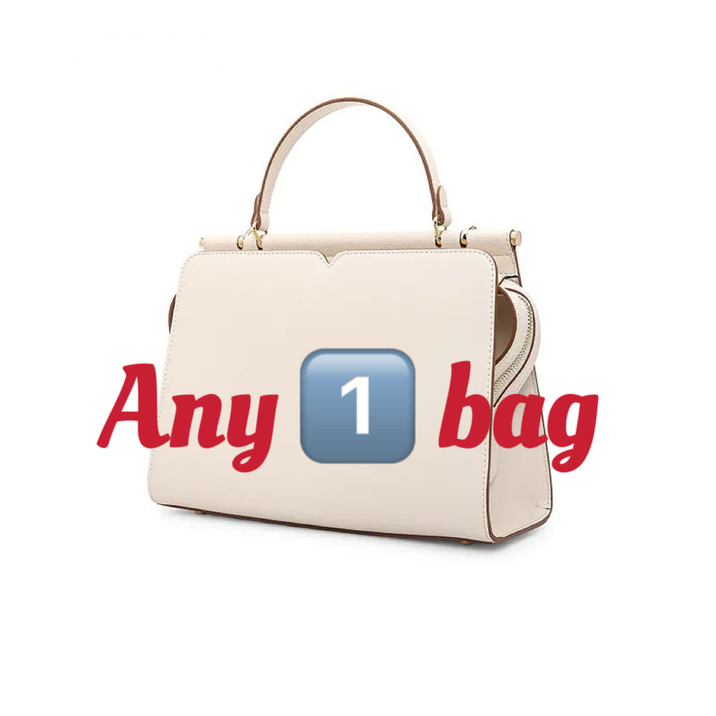 Any one Bag