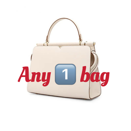 Any one Bag